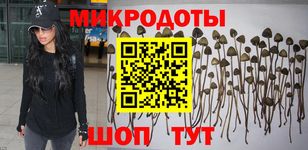 Ковров  Псилоцибиновые грибы GOLDEN TEACHER  Вход с VPN 